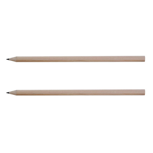 Two grey-lead pencils with sharpened wood bodies, showcasing a minimalist and natural design.