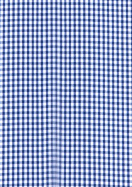 A blue and white checkered fabric pattern, featuring small squares, suitable for a button-up shirt design.