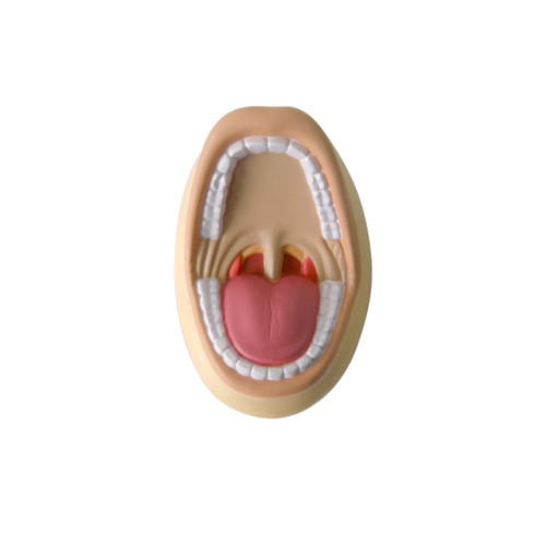 A mouth-shaped stress reliever in beige and pink, featuring teeth, a tongue, and a detailed palate.