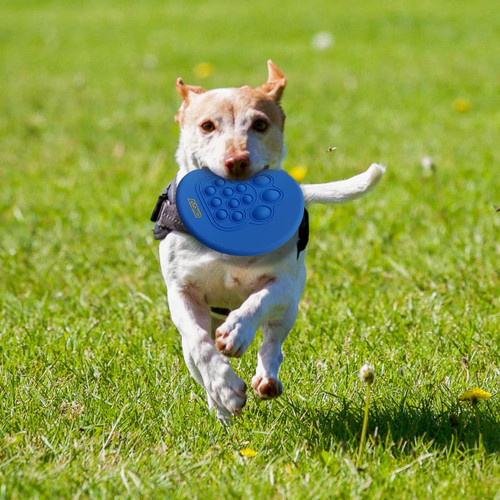 A small dog runs across green grass, holding a blue Pop fidget frisbee in its mouth, with a logo visible on the frisbee.