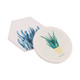 A hexagonal and round coaster featuring illustrations of aloe vera plants in green and blue shades. Both coasters have a logo.