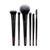 MCoBeauty Everyday 6 Piece Essentials Set MCoBeauty Everyday 6 Piece Essentials Set