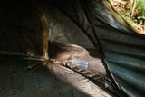 EXFIL TENT