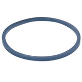 Canister O-ring