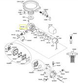 Seaera- Base