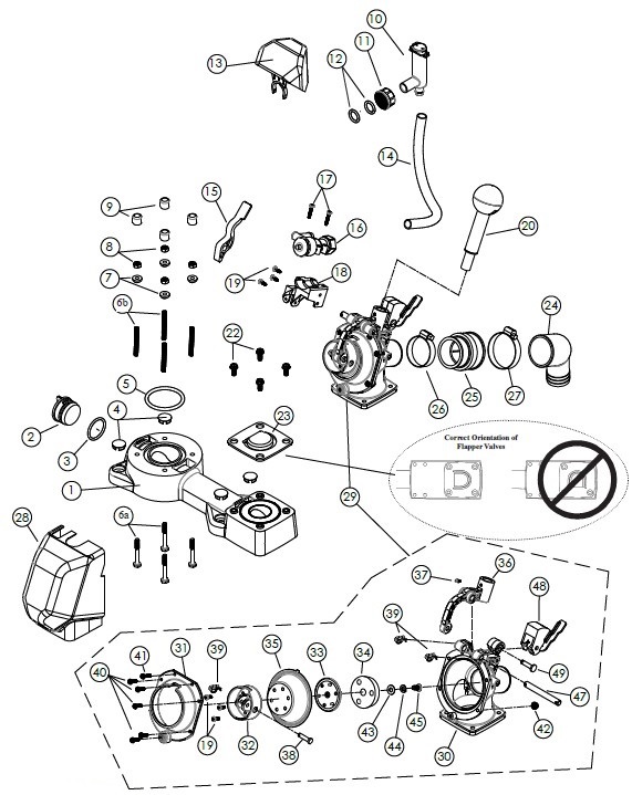 fresh-head-parts-breakdown.jpg