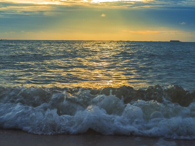 Arctic Leaf tote bag with grey wall background.