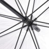 Fulton Umbrellas Clear London Icons Birdcage Dome Umbrella