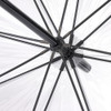 Fulton Umbrellas Clear Silver Birdcage Dome Umbrella