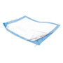 Kendall Wings Quilted Cloth-Like Underpad, Medical Blue Back Sheet, 30" x 36"