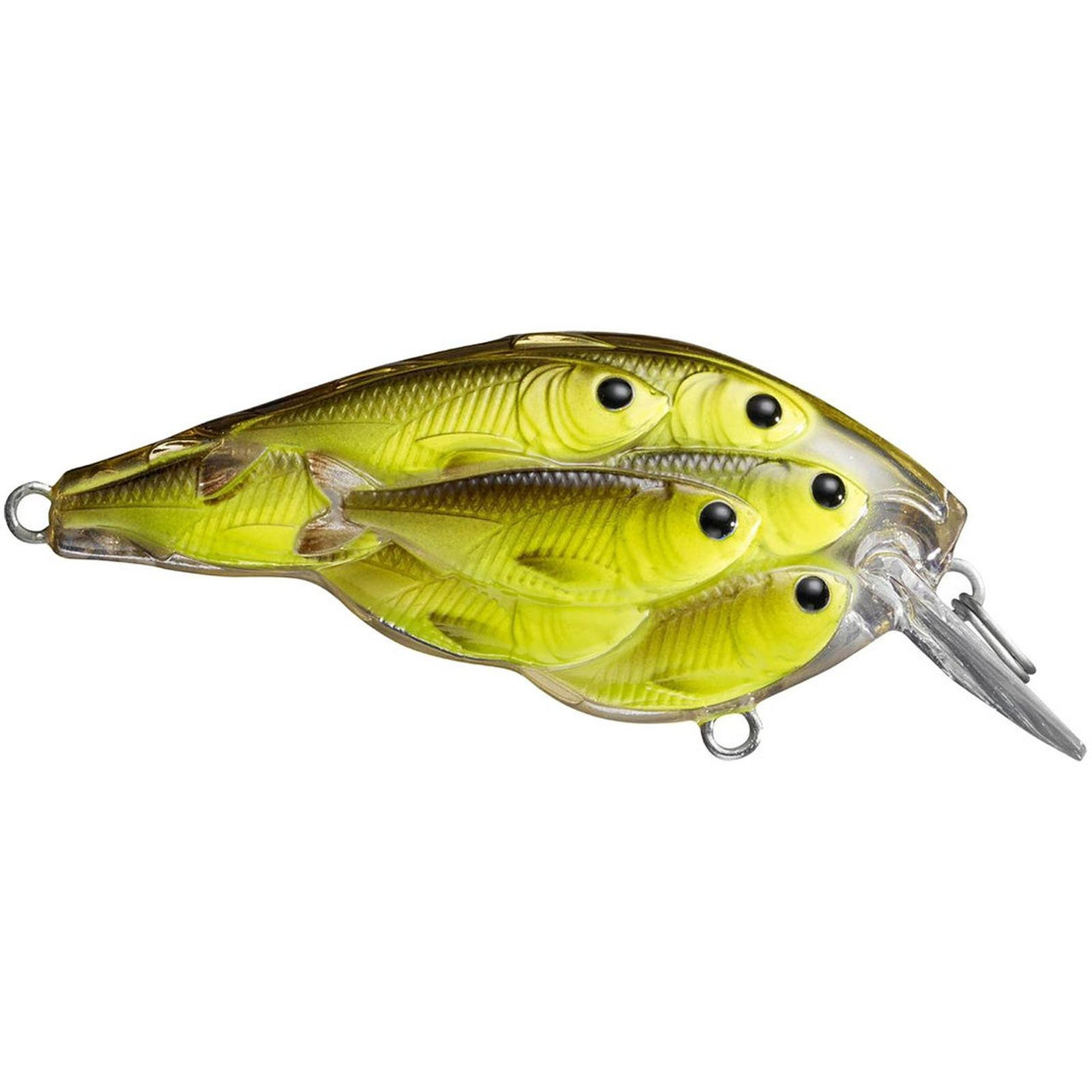  Livetarget Yearling Crankbait, 1.75, Blue Chartreuse : Sports  & Outdoors