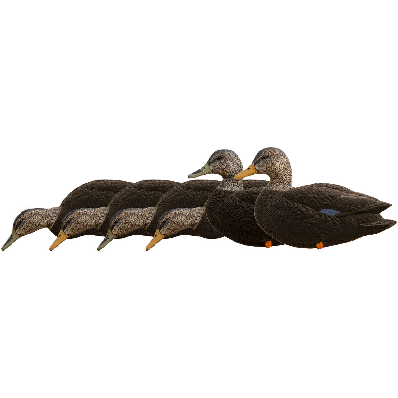 AVIAN-X AVX8077 AXF FULL BODY BLACK DUCKS FUSION PACK