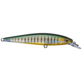 Strike King KVD 100 Jerkbait Phantom Perch 3 5/8 in.