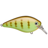 KVD 4.0 Magnum Squarebill Chart Perch