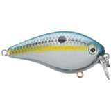 KVD Shallow Squarebill Chrome Sexy Shad