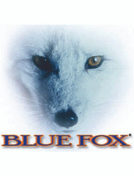 BLUE FOX