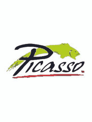 PICASSO LURES LLC