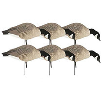 GHG 71596 HUNTER SERIES CANADIAN FEEDER 6 PACK