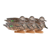 Avery Pro-Grade Green-Winged Teal Decoys Early Season Hen 6PK