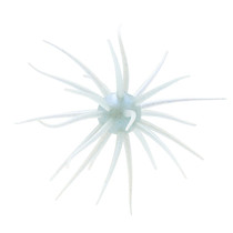 Hideup Coike JDM Fullcast Creature Bait 1PK Tamaranbai Blue