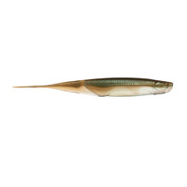 6th Sense Shindo Shad 6" Green Gizzard