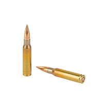 Sellier & Bellot SB76251 Rifle 7.62x51mmNATO 147gr Full Metal Jacket 20 Per Box/30 Case