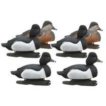 GHG Hunter Series Life Size Ring-Neck Duck Decoys 6-Pack