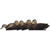 AVIAN-X AVX8075 TOPFLIGHT BLACK DUCKS 6 PACK