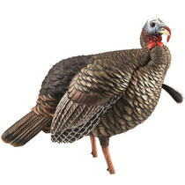 Avian X HDR Jake Turkey Decoy