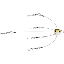 Strike King Titanium Rig Tennessee Shad Short