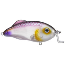 Strike King Hybrid Hunter Jr. Crankbait Clearwater Minnow