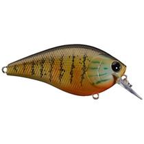 Lucky Craft LC Silent Squarebill 1.5 Gold Pumpkin Seed 1.5