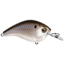 13 Fishing Jabber Jaw Hybrid Squarebill Crankbait Black Back Shad 3-5"