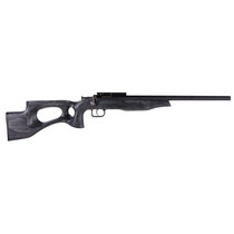 Crickett Black Target 22LR 16.125" Barrel Laminate Thumbhole Black Stock Blued