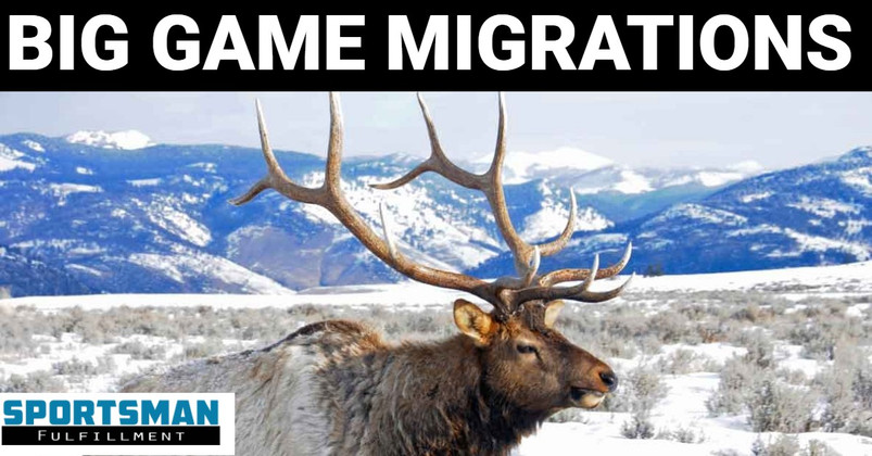 States Focus on Big Game Migrations in the West