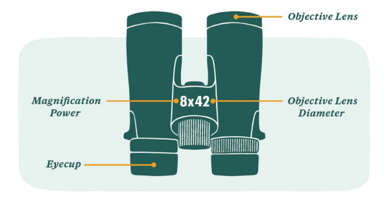 Seven Matters to OBJECTIVELY Consider Before Purchasing Binoculars