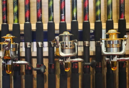 fishing rods, fishing rods for sale, spinning rods, fishing rod store