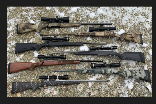 rifles, cheap rifles, rifles for sale, affordable rifles