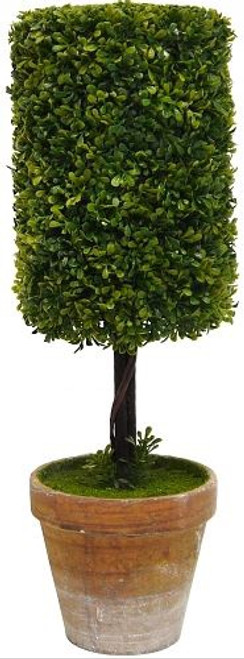 Cylinder Topiary Bush 35cm