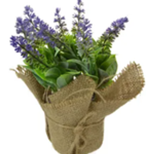 Lavender in Burlap Pot 21cm