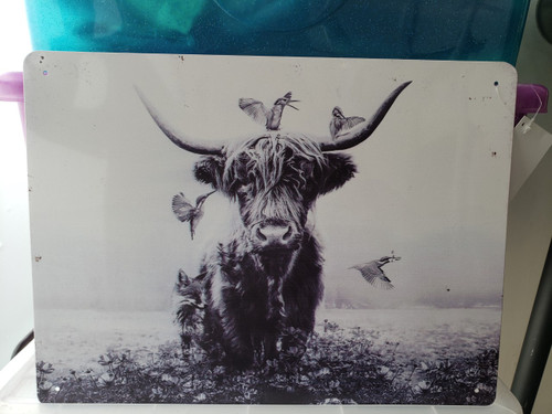 Highland Cow Flat Tin Sign