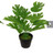 Faux Fern Plant 38cm