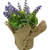 Lavender in Burlap Pot 21cm