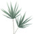 Yucca Stem Sage 100cm