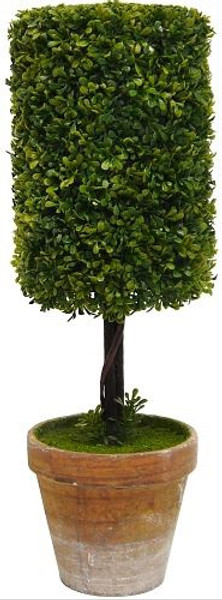 Cylinder Topiary Bush 35cm