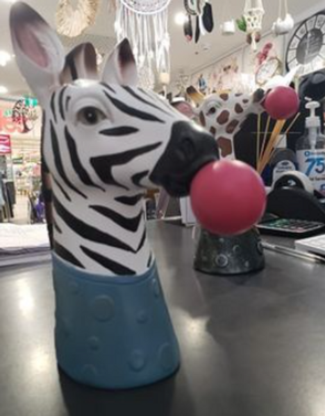 Bubblegum Zebra Planter