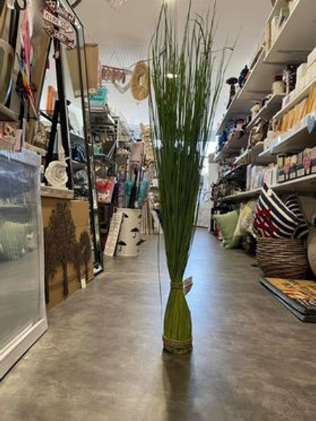 Tall Splayed Reed Grass