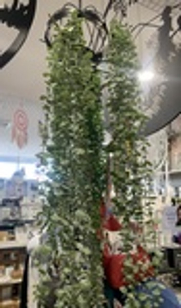 Linden Cascading Plant 105cm