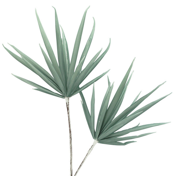 Yucca Stem Sage 100cm