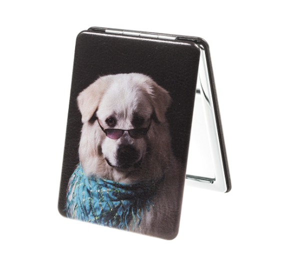 Dog in Glasses Compact Mirror